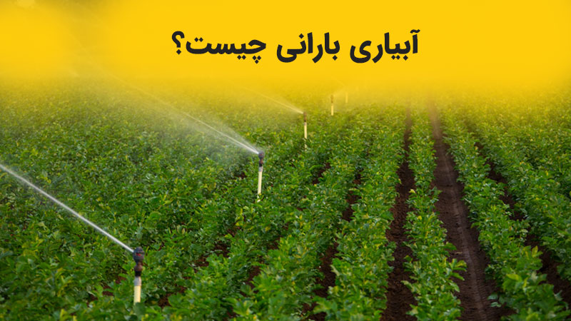  آبیاری بارانی چیست؟